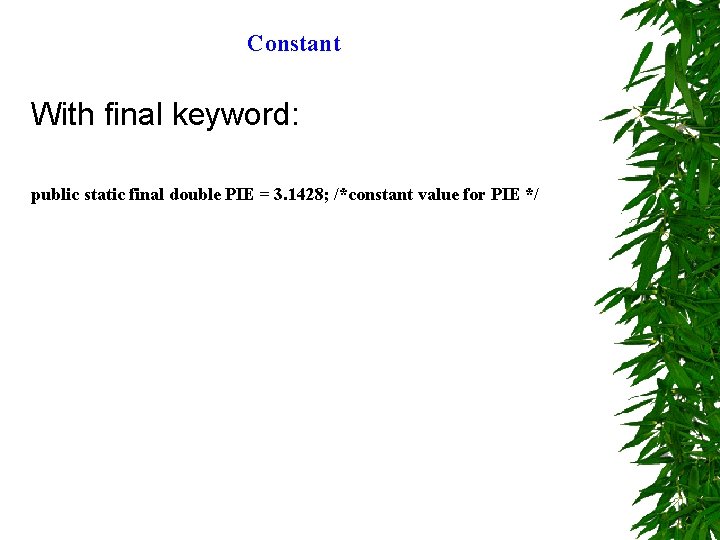 Constant With final keyword: public static final double PIE = 3. 1428; /*constant value