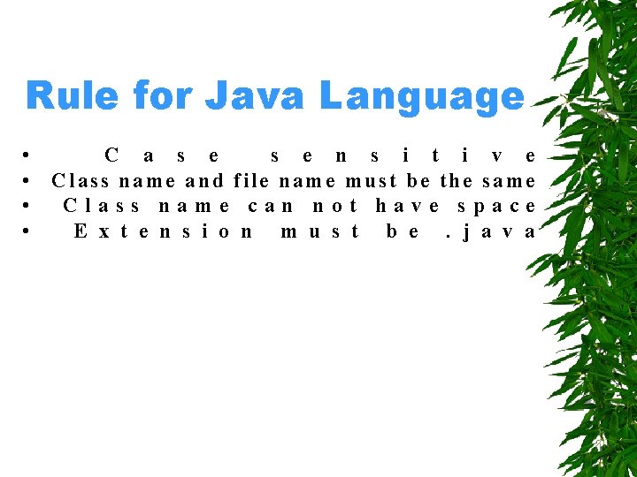 Rule for Java Language • • C a s e n s i t