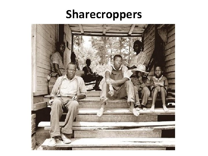 Sharecroppers 