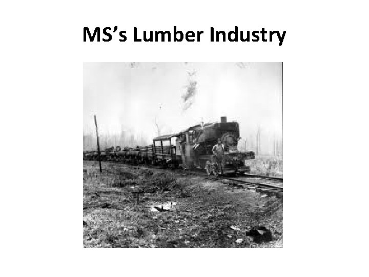 MS’s Lumber Industry 