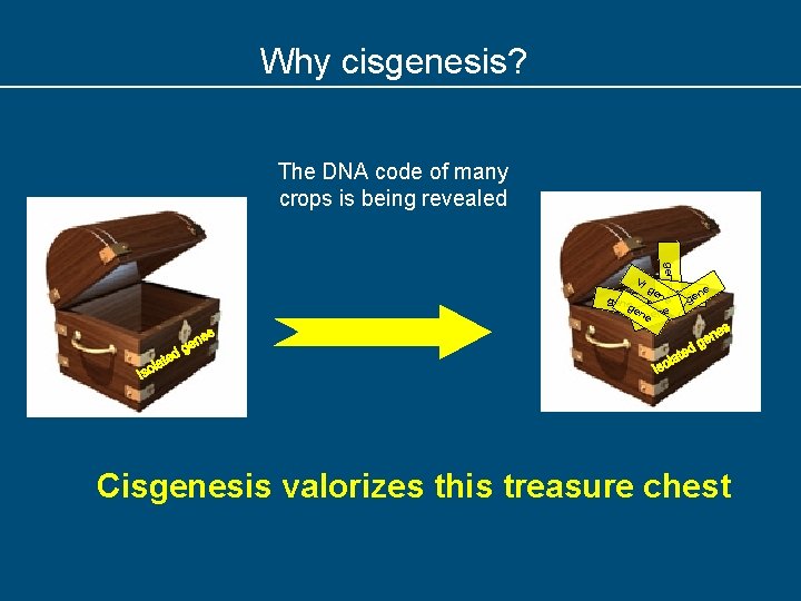 Why cisgenesis? The DNA code of many crops is being revealed gene Vf ge