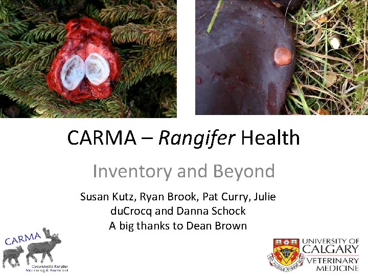CARMA – Rangifer Health Inventory and Beyond Susan Kutz, Ryan Brook, Pat Curry, Julie