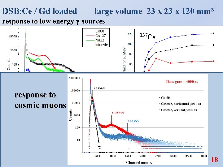 DSB: Ce / Gd loaded large volume 23 x 120 mm 3 response to