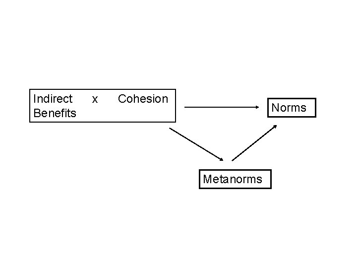 Indirect Benefits x Cohesion Norms Metanorms 