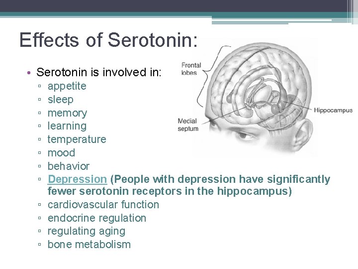 Effects of Serotonin: • Serotonin is involved in: ▫ ▫ ▫ appetite sleep memory