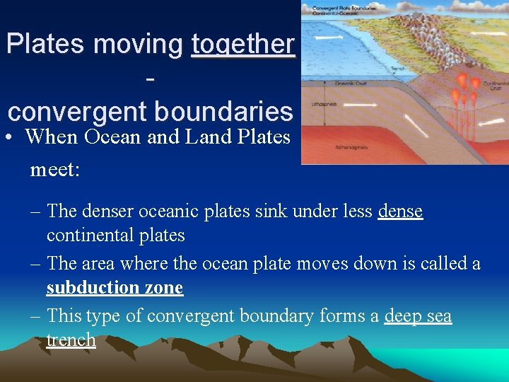 Plates moving together convergent boundaries • When Ocean and Land Plates meet: – The