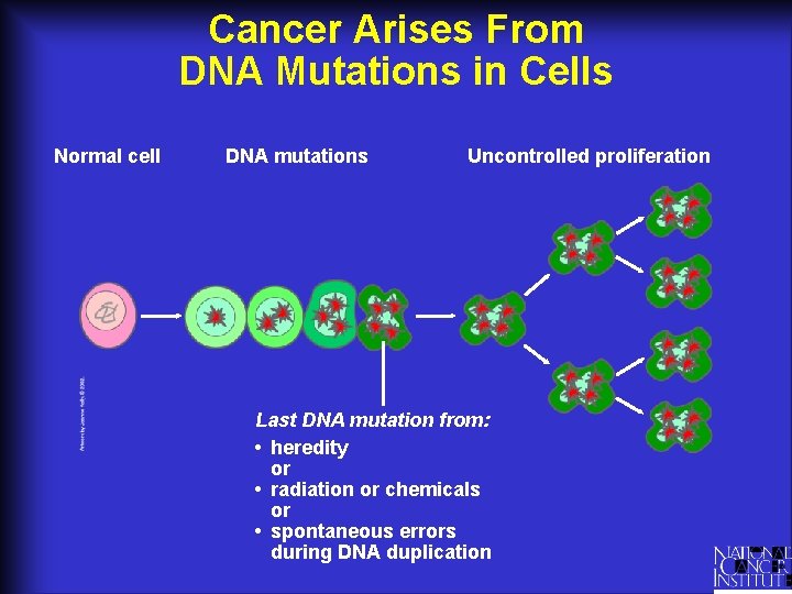 Understanding Cancer and Related Topics Understanding Estrogen Receptors