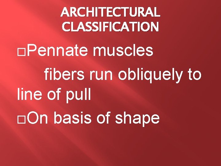 ARCHITECTURAL CLASSIFICATION Pennate muscles fibers run obliquely to line of pull On basis of