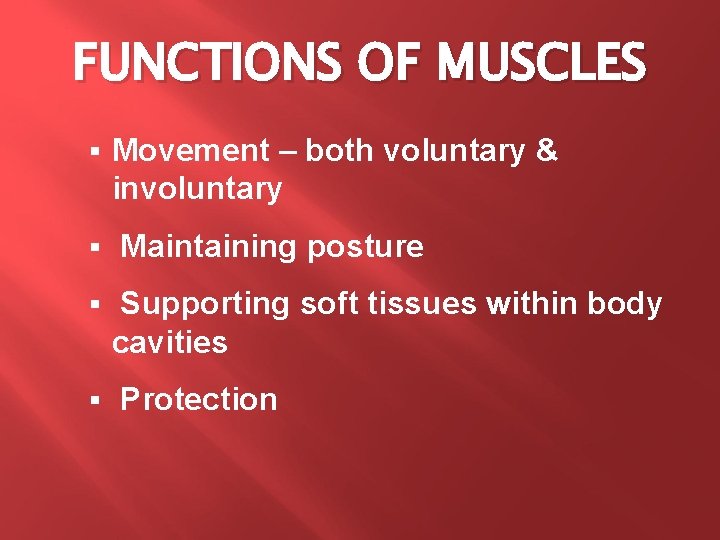 FUNCTIONS OF MUSCLES § § Movement – both voluntary & involuntary Maintaining posture Supporting