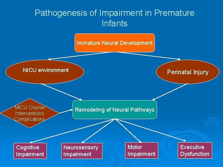 Pathogenesis of Impairment in Premature Infants Immature Neural Development NICU environment MICU Course Interventions