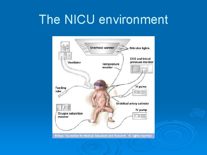 The NICU environment 