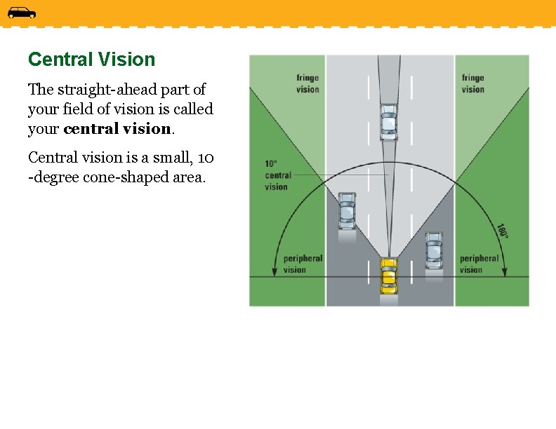 Central Vision The straight-ahead part of your field of vision is called your central