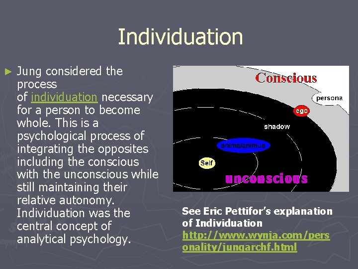 Individuation ► Jung considered the process of individuation necessary for a person to become