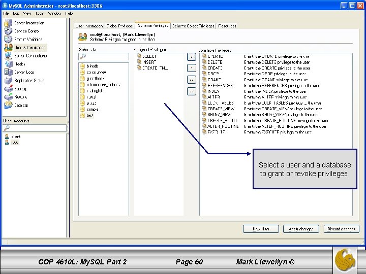 Select a user and a database to grant or revoke privileges. COP 4610 L: