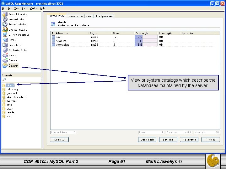 View of system catalogs which describe the databases maintained by the server. COP 4610