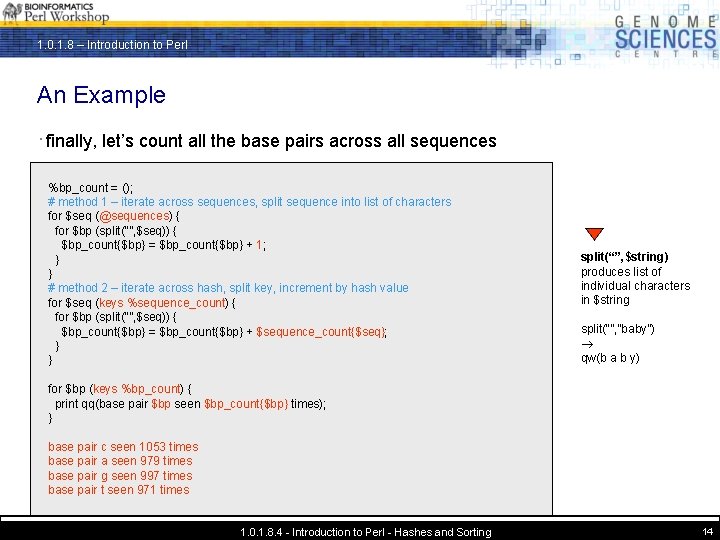 1 0 1 8 Introduction To Perl 1