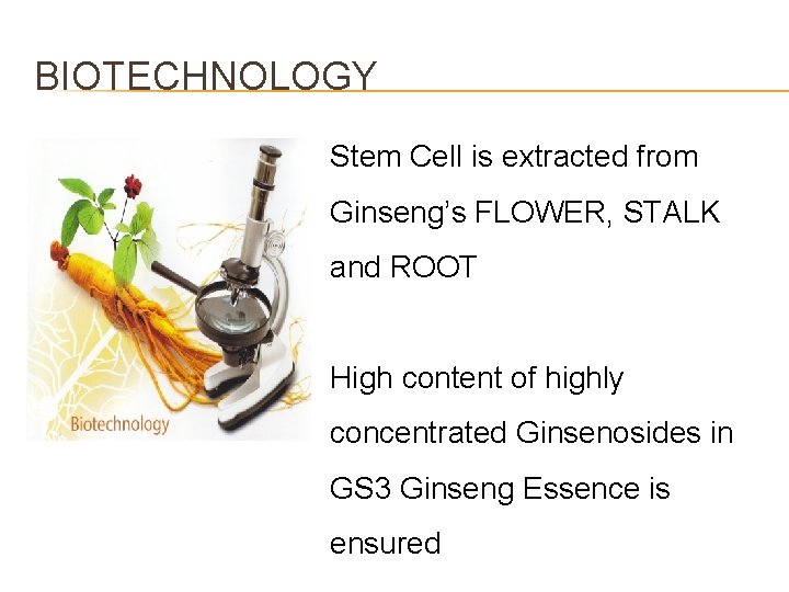 BIOTECHNOLOGY Stem Cell is extracted from Ginseng’s FLOWER, STALK and ROOT High content of