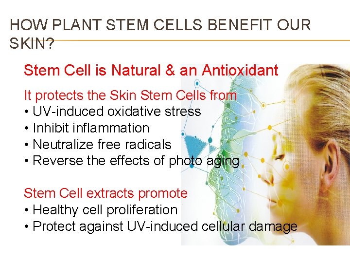 HOW PLANT STEM CELLS BENEFIT OUR SKIN? Stem Cell is Natural & an Antioxidant