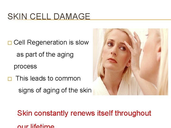 SKIN CELL DAMAGE � Cell Regeneration is slow as part of the aging process