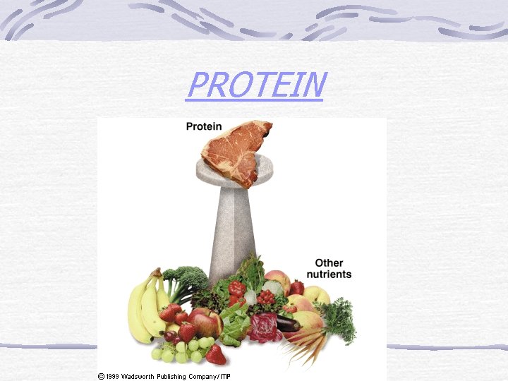 PROTEIN 