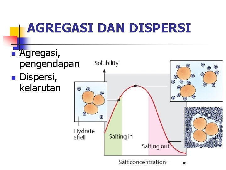 AGREGASI DAN DISPERSI n n Agregasi, pengendapan Dispersi, kelarutan 
