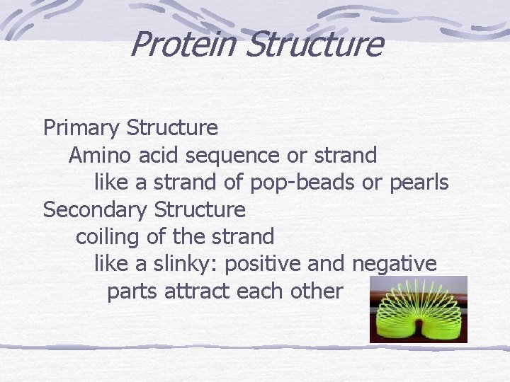 Protein Structure Primary Structure Amino acid sequence or strand like a strand of pop-beads