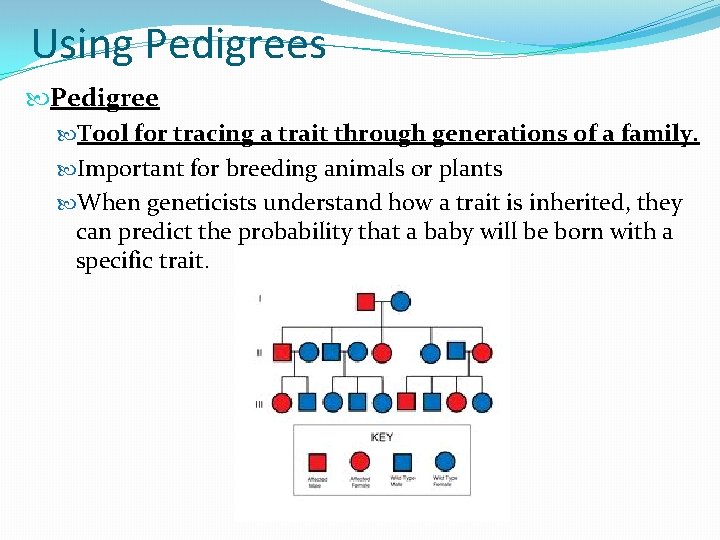 Using Pedigrees Pedigree Tool for tracing a trait through generations of a family. Important