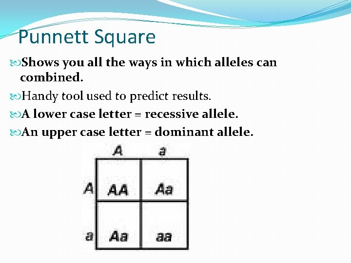 Punnett Square Shows you all the ways in which alleles can combined. Handy tool