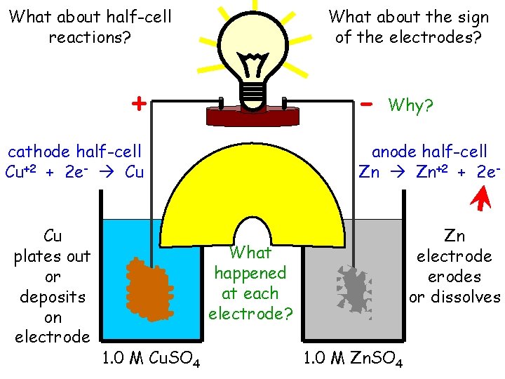 What about half-cell reactions? What about the sign of the electrodes? - + cathode