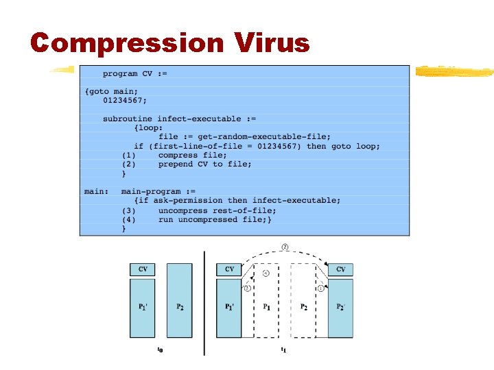 Compression Virus 