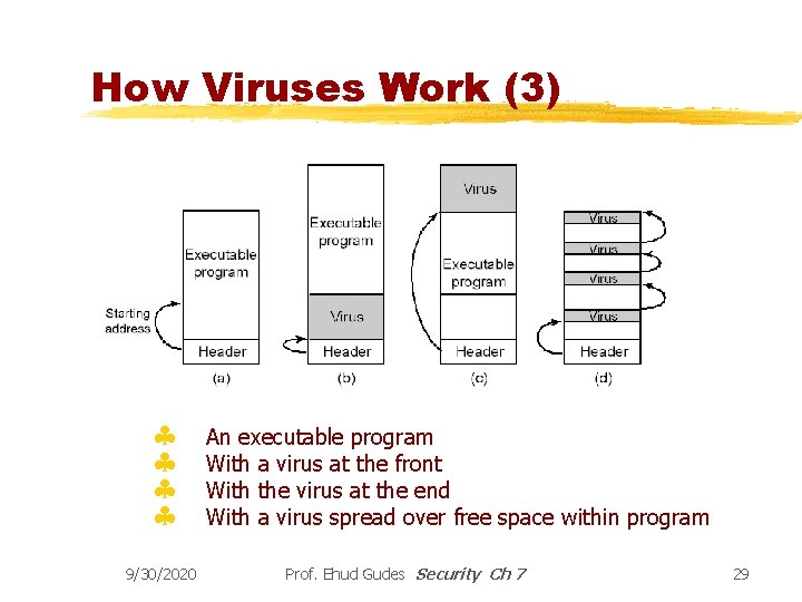 How Viruses Work (3) § § 9/30/2020 An executable program With a virus at