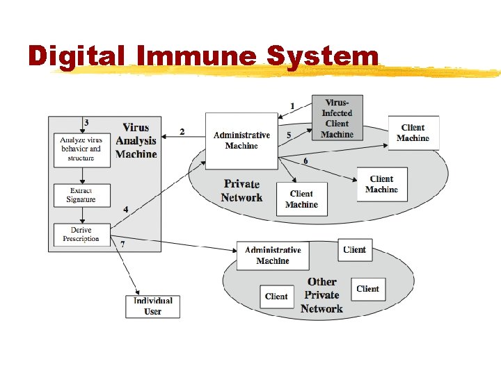 Digital Immune System 