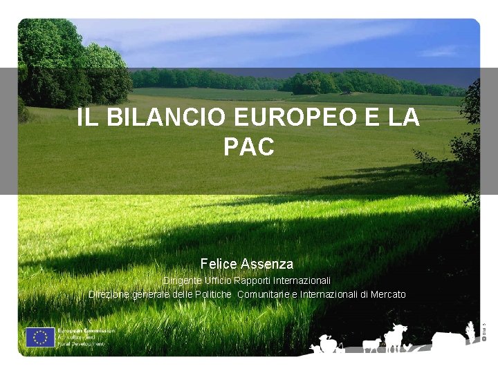 IL BILANCIO EUROPEO E LA PAC Felice Assenza Ⓒ Olof S. Dirigente Ufficio Rapporti