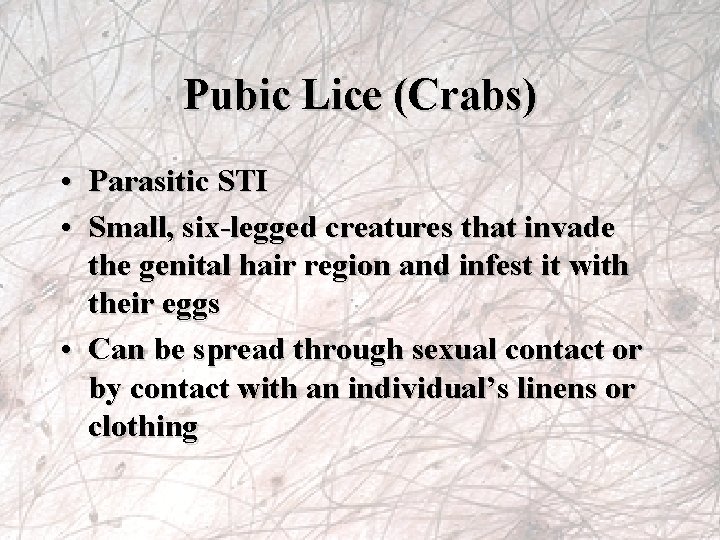 Pubic Lice (Crabs) • Parasitic STI • Small, six-legged creatures that invade the genital