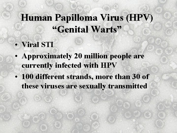 Human Papilloma Virus (HPV) “Genital Warts” • Viral STI • Approximately 20 million people