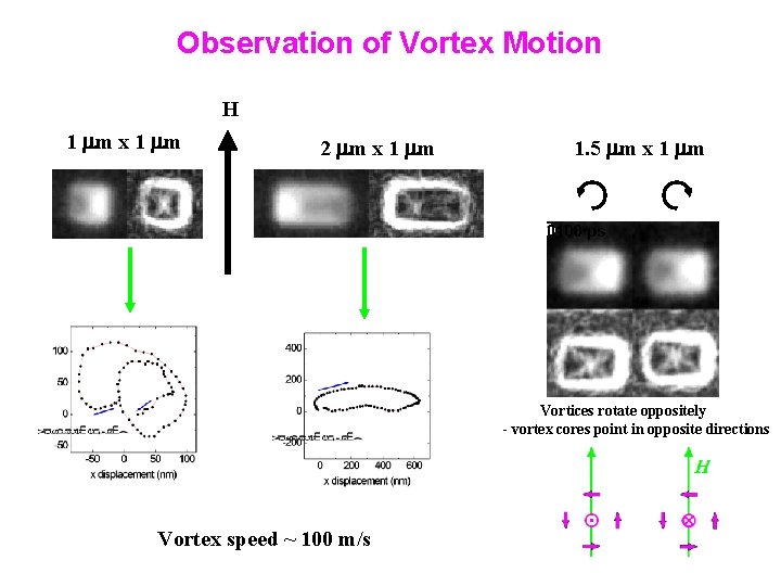 Observation of Vortex Motion H 1 m x 1 m 2 m x 1
