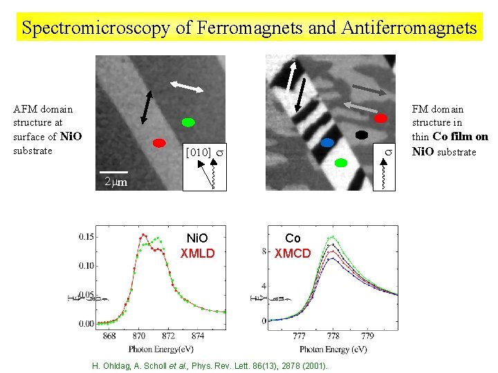 Spectromicroscopy of Ferromagnets and Antiferromagnets AFM domain structure at surface of Ni. O substrate