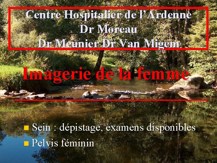 Centre Hospitalier de l’Ardenne Dr Moreau Dr Meunier Dr Van Migem Imagerie de la