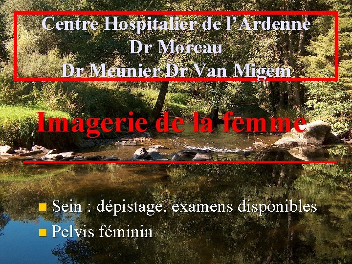 Centre Hospitalier de l’Ardenne Dr Moreau Dr Meunier Dr Van Migem Imagerie de la