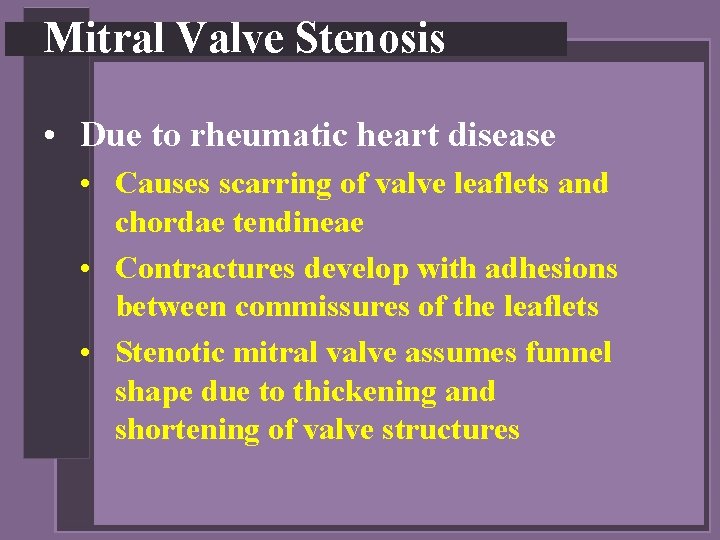 Mitral Valve Stenosis • Due to rheumatic heart disease • Causes scarring of valve