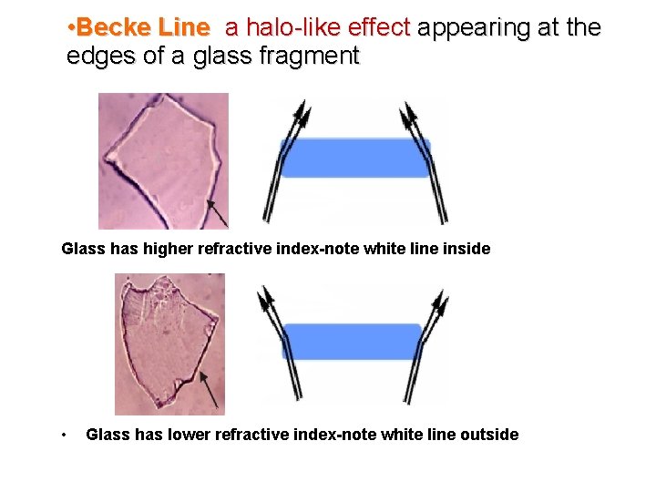  • Becke Line a halo-like effect appearing at the edges of a glass