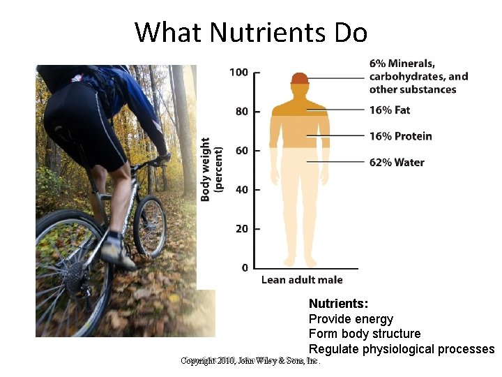 What Nutrients Do Nutrients: Provide energy Form body structure Regulate physiological processes Copyright 2010,