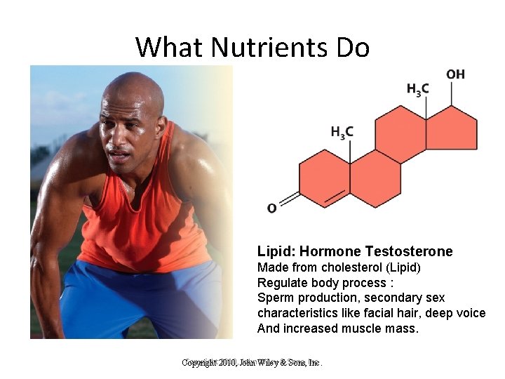 What Nutrients Do Lipid: Hormone Testosterone Made from cholesterol (Lipid) Regulate body process :