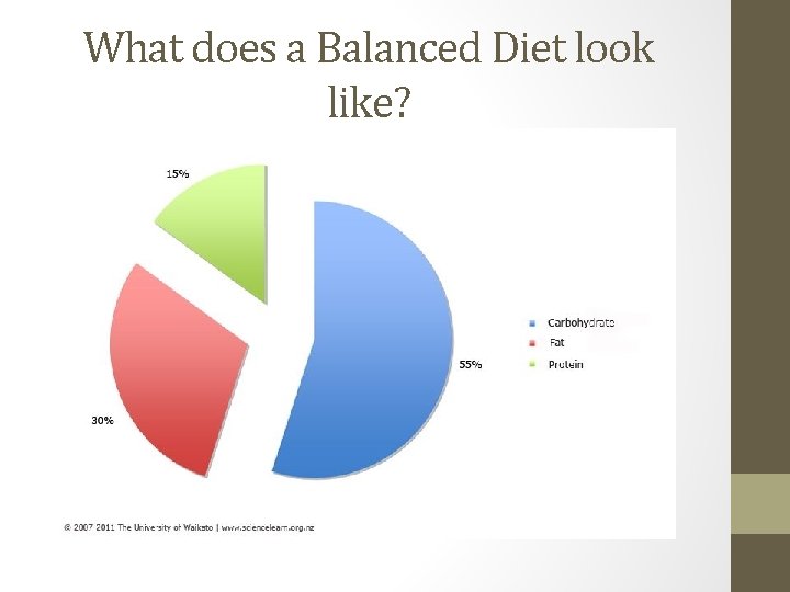 What does a Balanced Diet look like? 