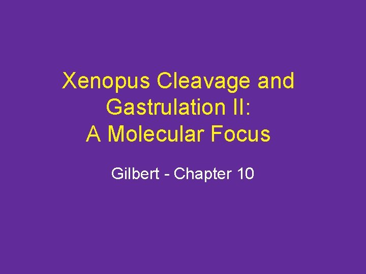 Xenopus Cleavage and Gastrulation II: A Molecular Focus Gilbert - Chapter 10 