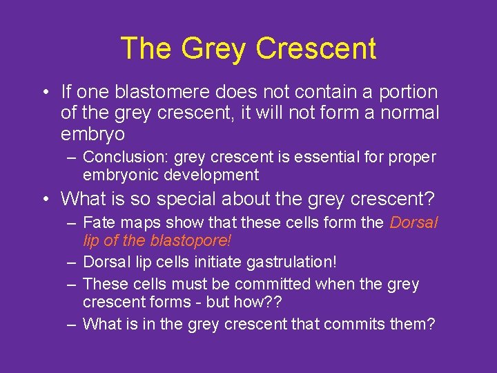 The Grey Crescent • If one blastomere does not contain a portion of the