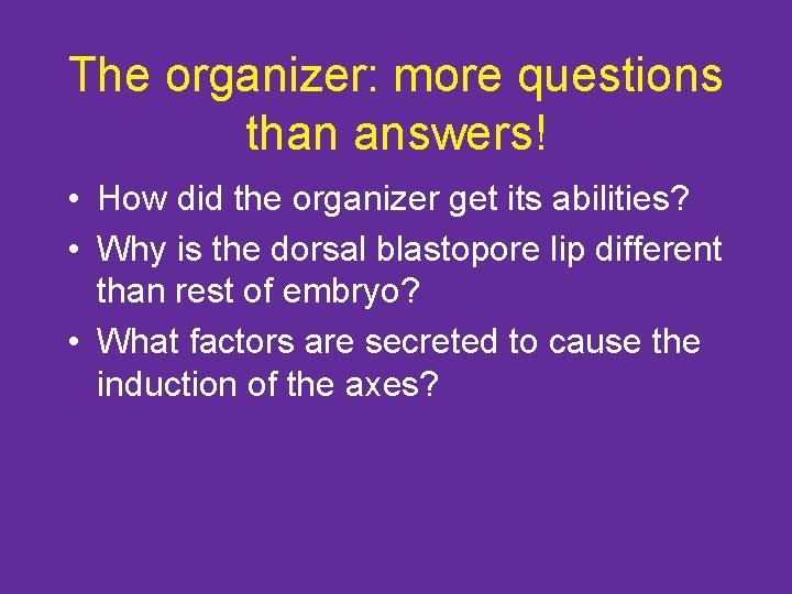 The organizer: more questions than answers! • How did the organizer get its abilities?