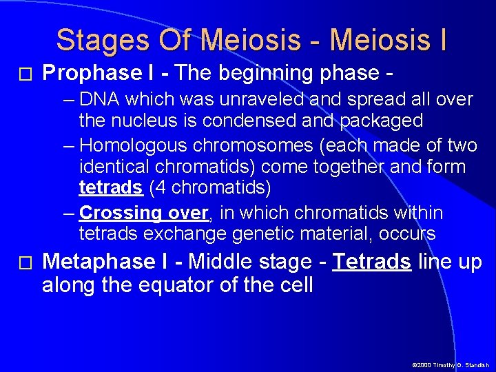 Stages Of Meiosis - Meiosis I � Prophase I - The beginning phase –