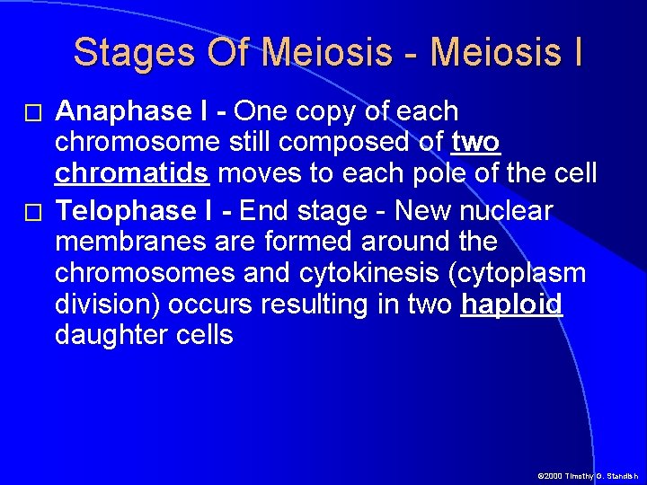 Stages Of Meiosis - Meiosis I � � Anaphase I - One copy of