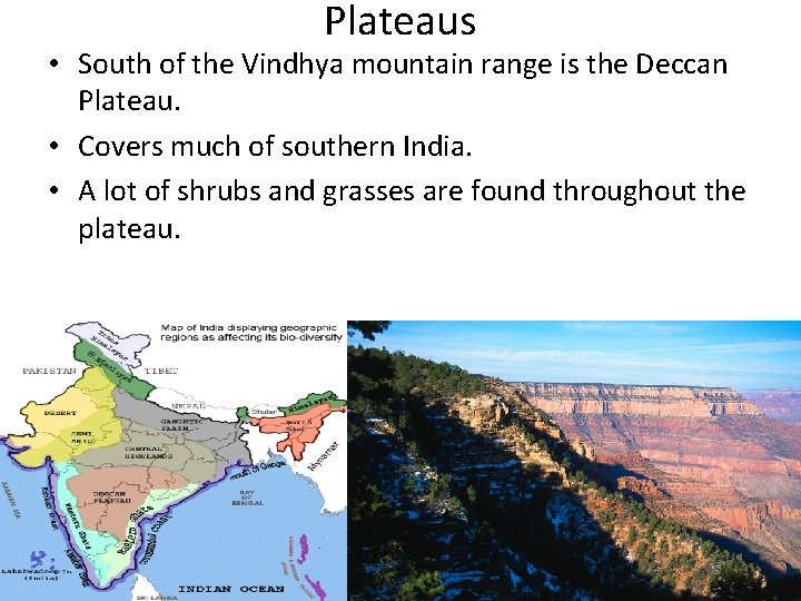 Plateaus • South of the Vindhya mountain range is the Deccan Plateau. • Covers